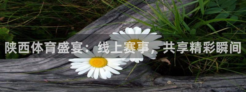 陕西体育盛宴：线上赛事，共享精彩瞬间