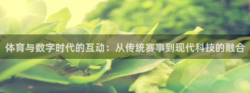 体育与数字时代的互动：从传统赛事到现代科技的融合