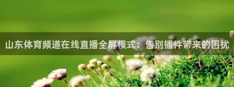 山东体育频道在线直播全屏模式：告别插件带来的困扰