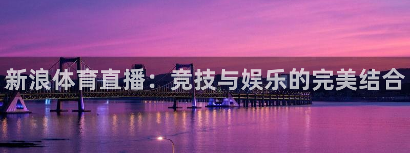新浪体育直播：竞技与娱乐的完美结合