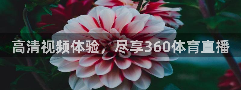高清视频体验，尽享360体育直播