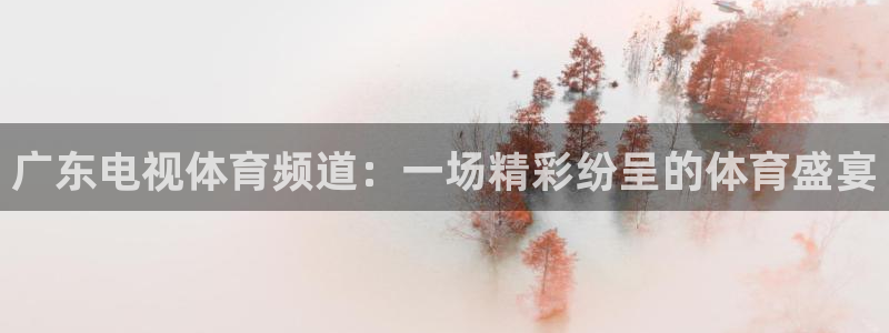广东电视体育频道：一场精彩纷呈的体育盛宴